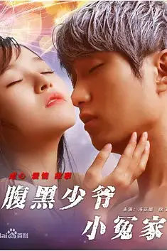 《腹黑少爷小冤家》封面