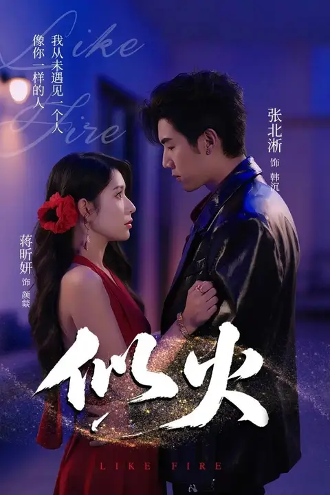《似火 2025》封面