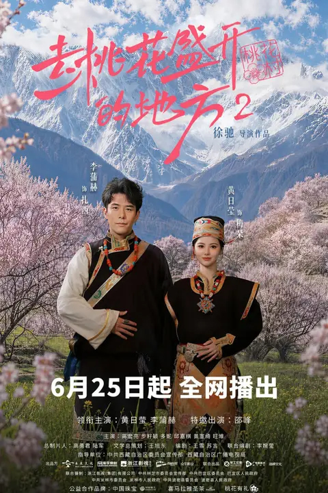 《去桃花盛开的地方2》封面