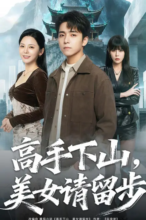 《高手下山,美女请留步》封面