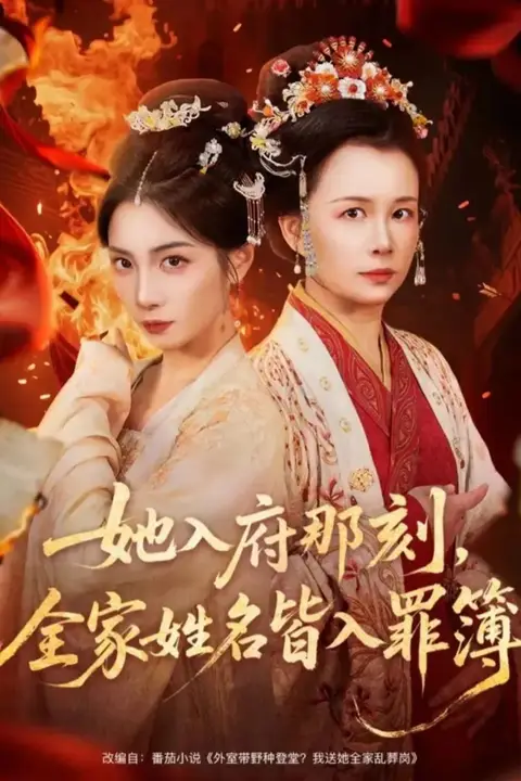 《她入府那刻，全家姓名皆入罪簿》封面