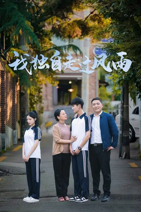 《我独自走过风雨》封面