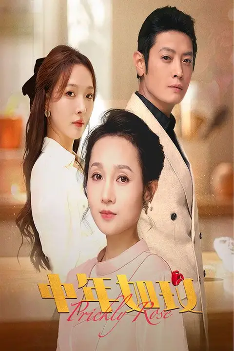 《中年如玫》封面