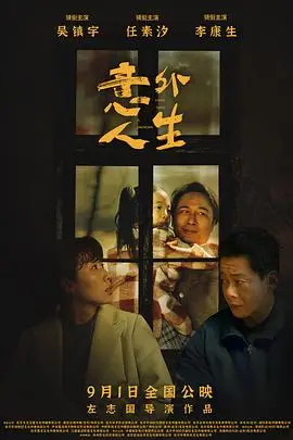 《意外人生》封面