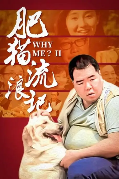 《肥猫流浪记》封面