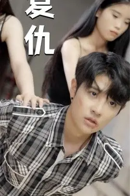 《复仇》封面