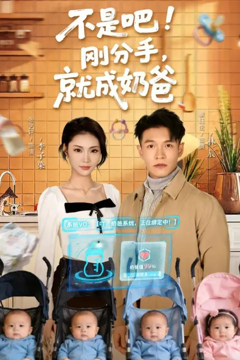 《不是吧!刚分手,就成奶爸(不是吧刚分手就成奶爸)》封面