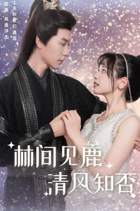 《林间见鹿清风知否》封面