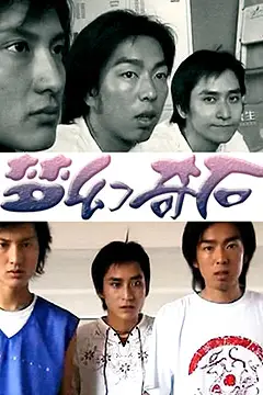 《梦幻奇石》封面