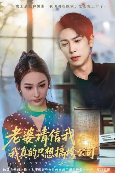 《老婆请信我:我真的只想搞垮公司》封面
