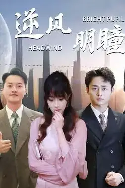 《逆风明瞳》封面
