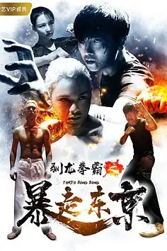《驯龙拳霸之暴走东京》封面