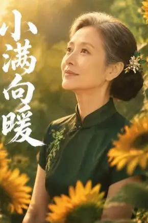 《小满向暖》封面