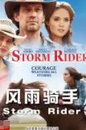 《风雨骑手》封面