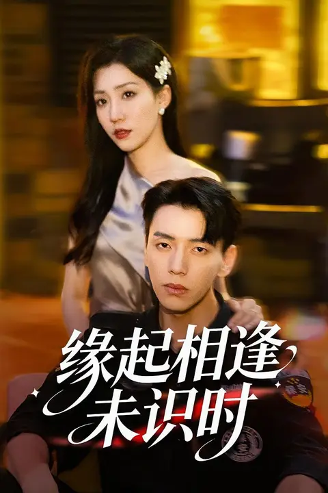 《缘起相逢未识时》封面