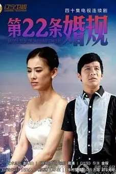 《第22条婚规》封面