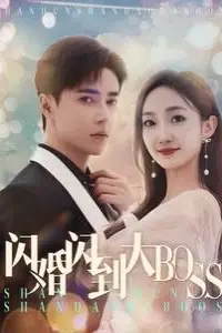 《闪婚闪到大BOOS》封面
