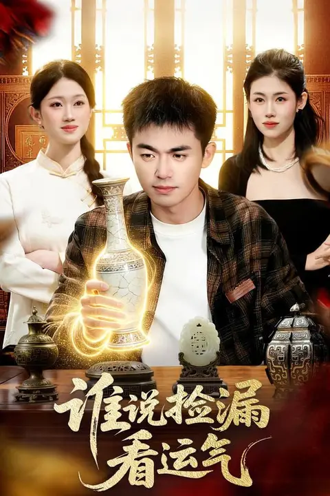 《谁说捡漏看运气》封面