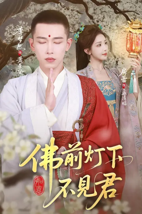 《佛前灯下不见君》封面