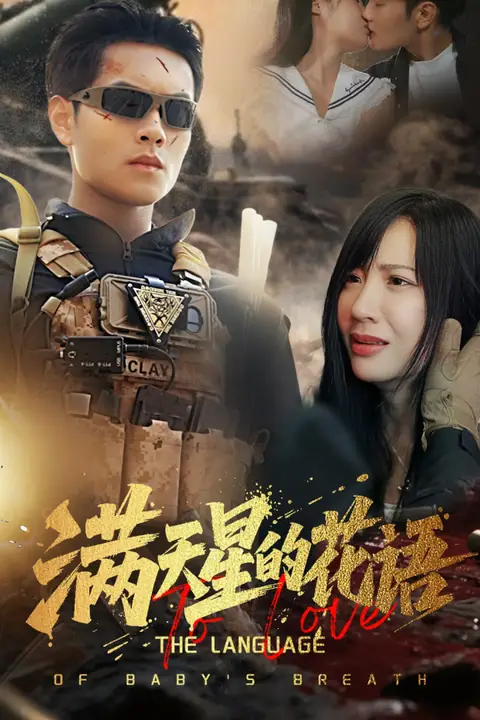 《满天星的花语》封面