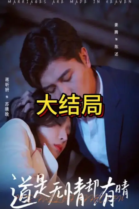 《道是无情却有晴》封面