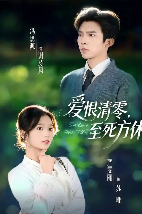 《爱恨清零，至死方休（风雪长眠旧故里）》封面