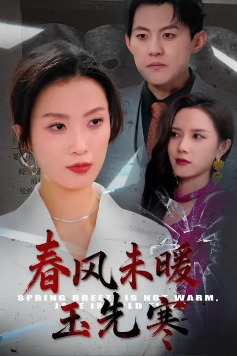 《春风未暖玉先寒》封面