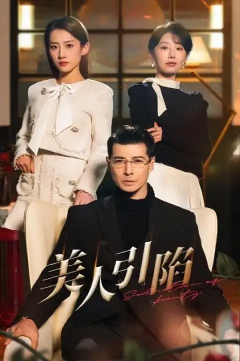 《美人引陷》封面
