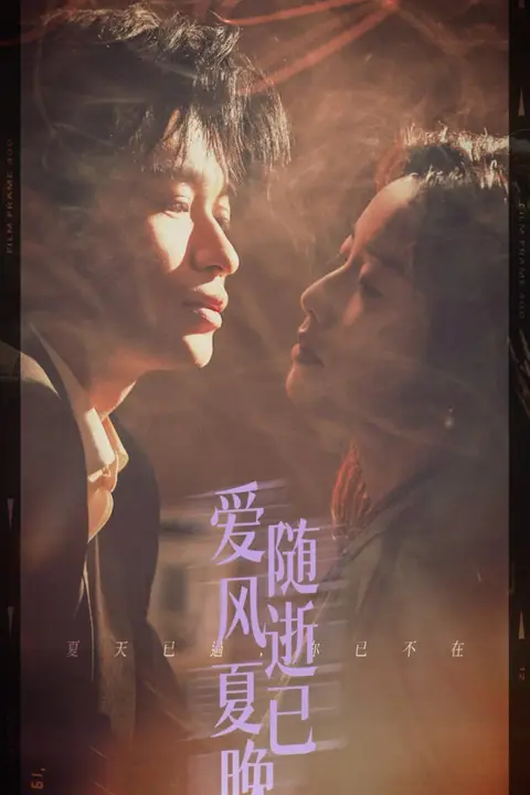 《爱随风逝夏已晚》封面