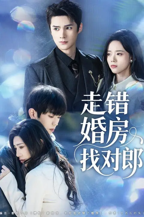 《走错婚房找对郎》封面