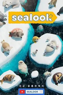 《海豹看看》封面