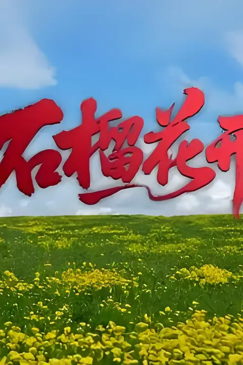 《石榴花开》封面