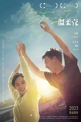 《温柔壳》封面