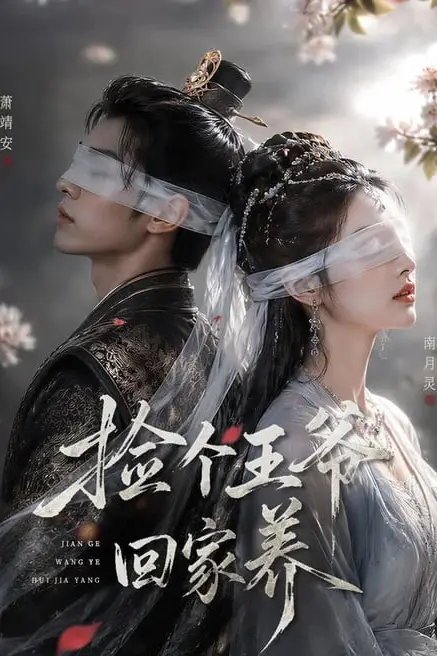 《捡个王爷回家养》封面