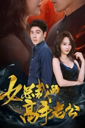 《女总裁的高手老公》封面