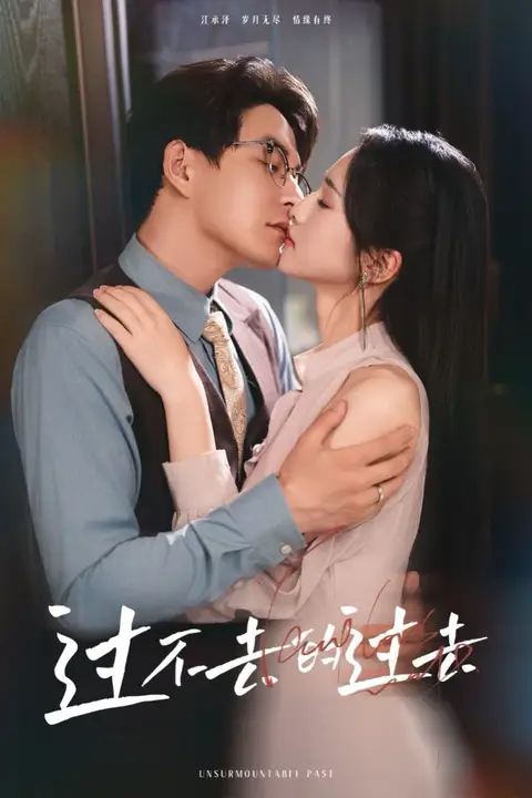 《过不去的过去(我用血肉去爱你)》封面