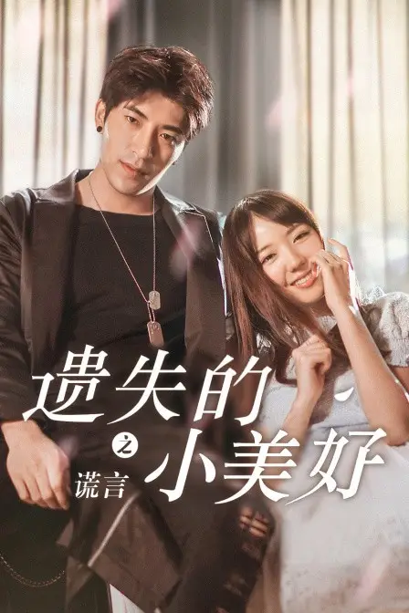 《遗失的小美好之谎言》封面