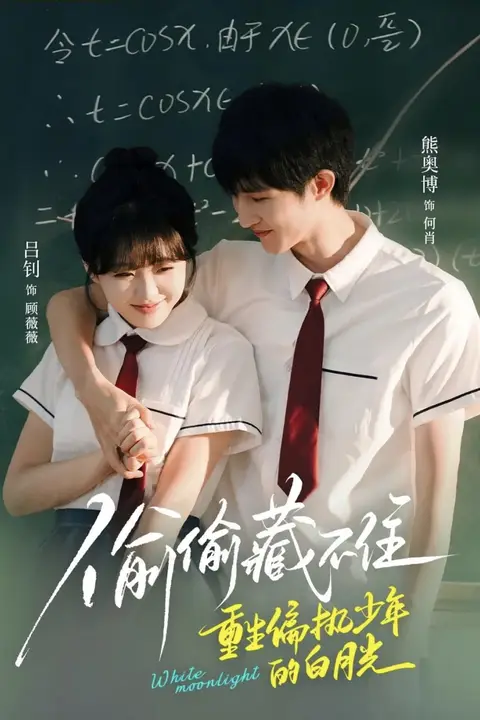 《偷偷藏不住重生偏执少年的白月光》封面