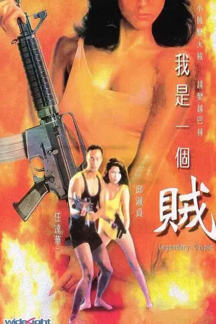《我是一个贼》封面