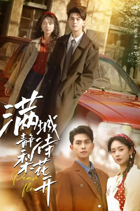 《满城静待梨花开》封面