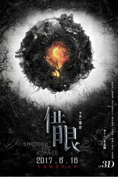 《借眼》封面