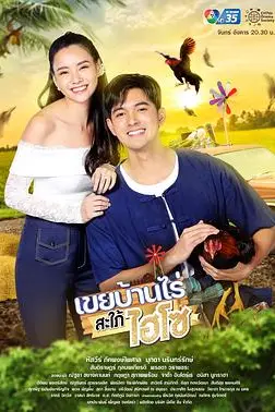 《农家女婿和千金媳妇》封面