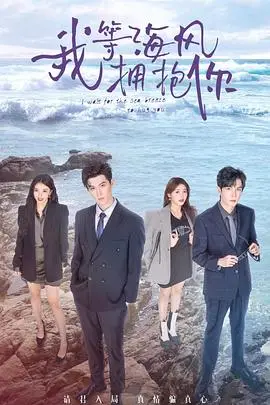 《我等海风拥抱你》封面