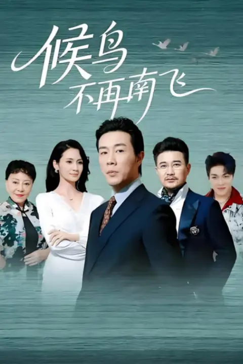 《候鸟不再南飞》封面