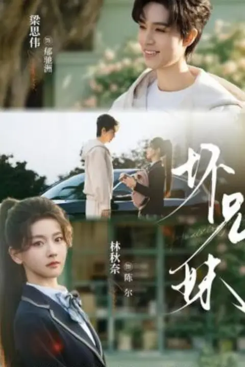 《坏兄妹》封面