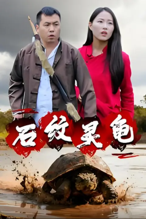 《石纹灵龟》封面