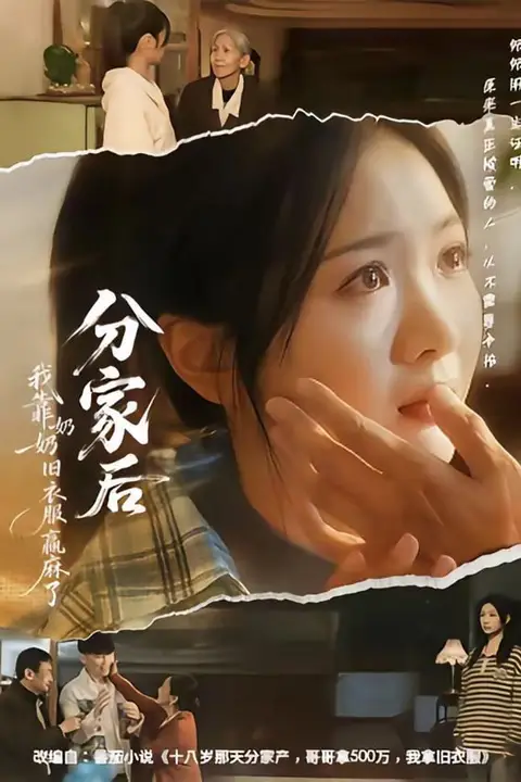 《分家后我靠奶奶旧衣服赢麻了》封面