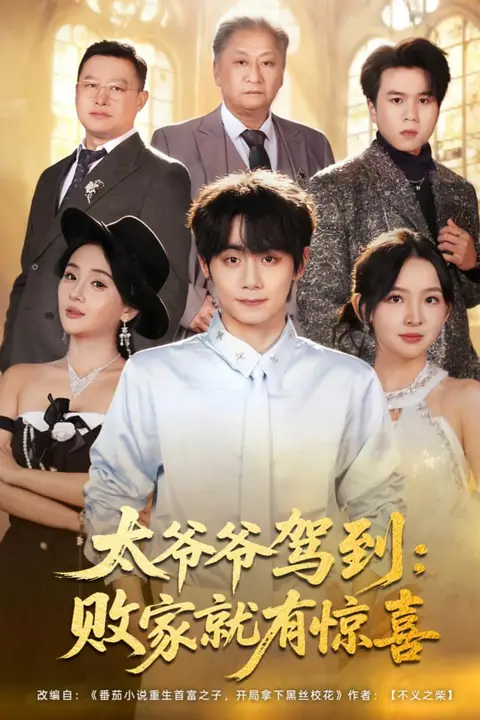《太爷爷驾到：败家就有惊喜》封面
