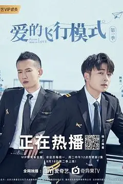 《爱的飞行模式》封面