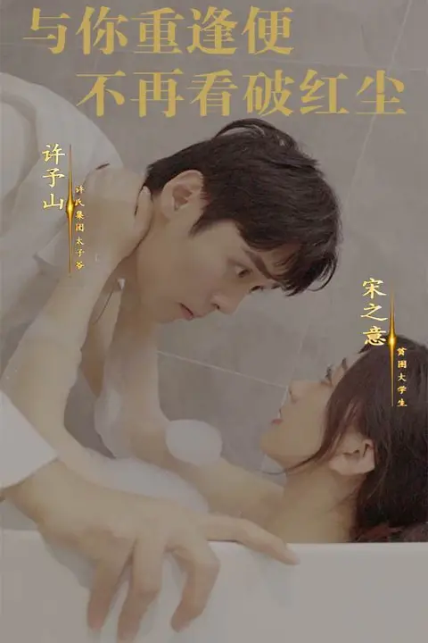 《与你重逢便不再看破红尘》封面